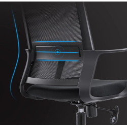 Chaise de Bureau Ergonomique ECO